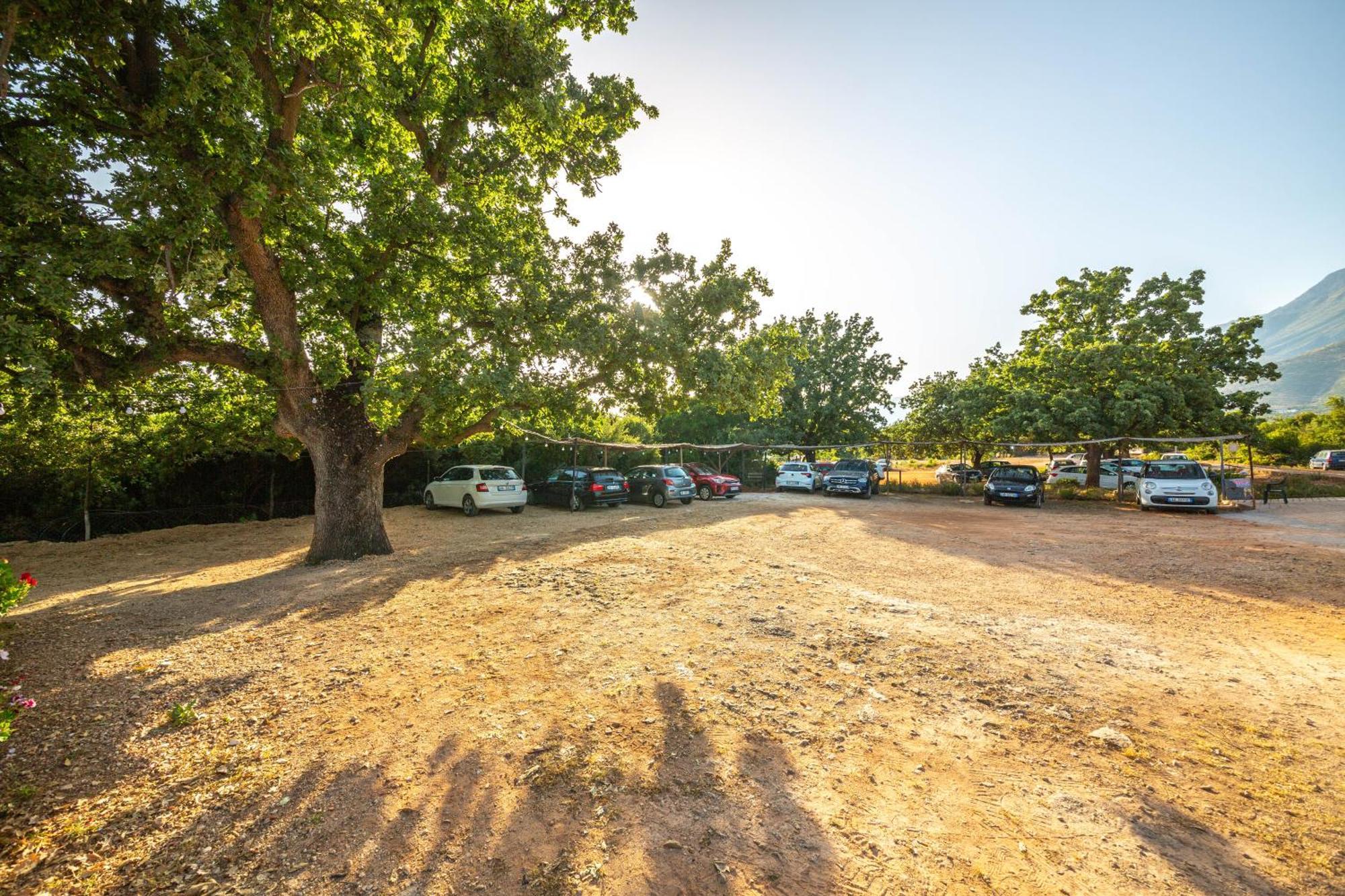 Blu Horizon Hotel Gjipe Dhermi Exterior photo